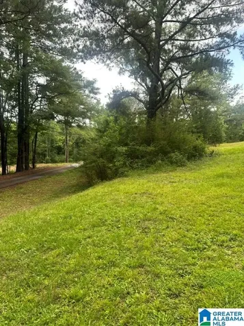 130 Mountain Crest Road Chelsea AL 35043