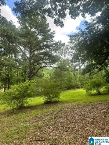 130 Mountain Crest Road Chelsea AL 35043