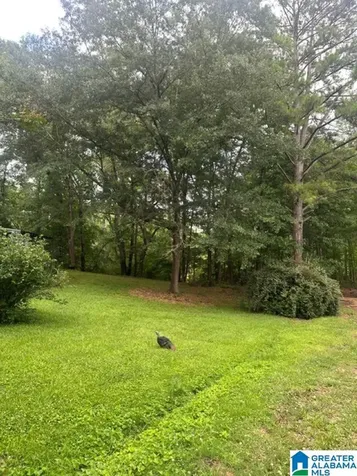 130 Mountain Crest Road Chelsea AL 35043