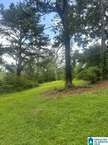 130 Mountain Crest Road Chelsea AL 35043