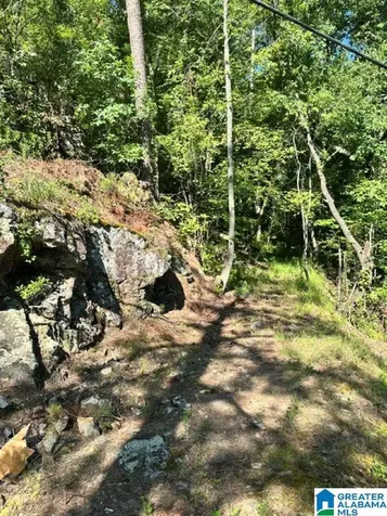 130 Mountain Crest Road Chelsea AL 35043