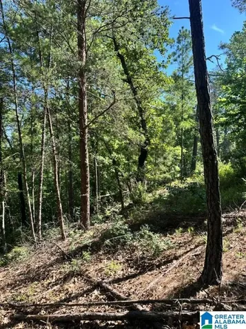 130 Mountain Crest Road Chelsea AL 35043