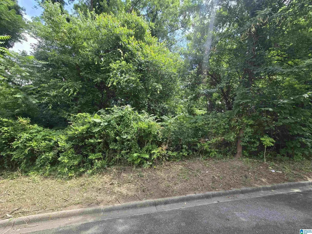2511 17th Place S Homewood AL 35209