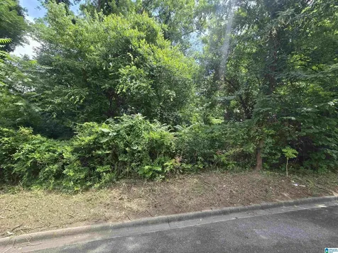 2511 17th Place S Homewood AL 35209