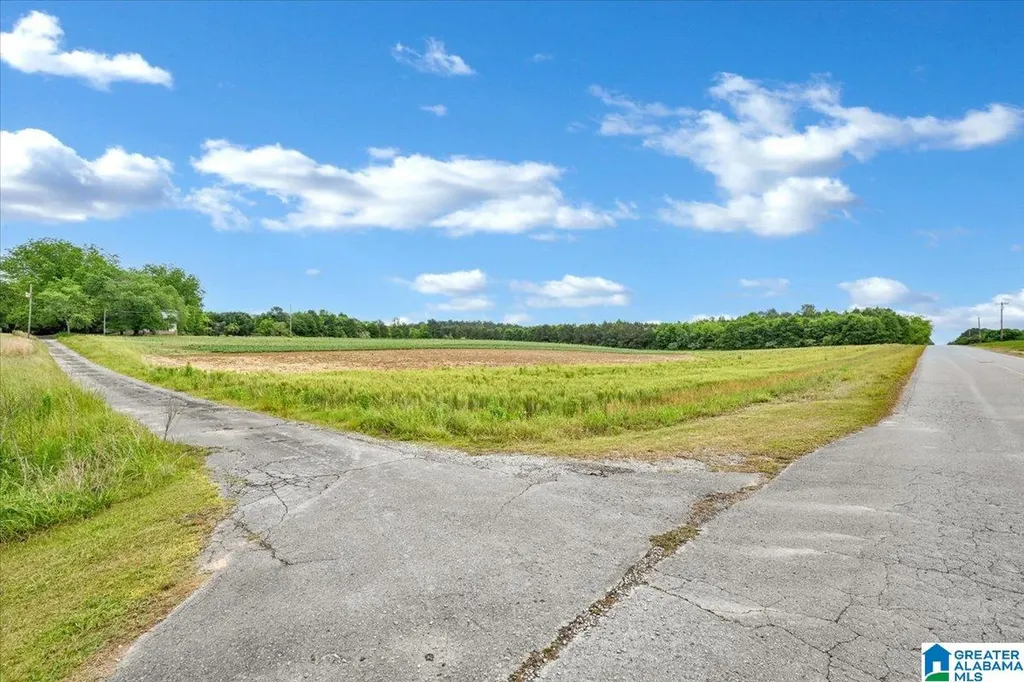 900 County Road 1466 Cullman AL 35055