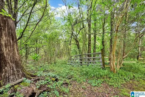 900 County Road 1466 Cullman AL 35055