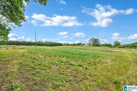 900 County Road 1466 Cullman AL 35055