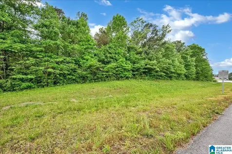 900 County Road 1466 Cullman AL 35055