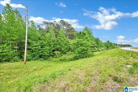 900 County Road 1466 Cullman AL 35055