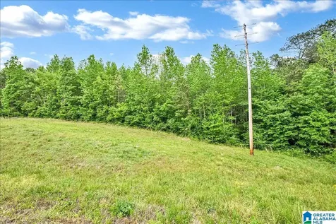 900 County Road 1466 Cullman AL 35055