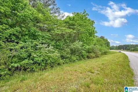900 County Road 1466 Cullman AL 35055