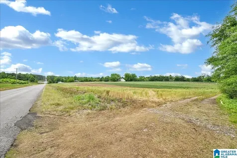 900 County Road 1466 Cullman AL 35055