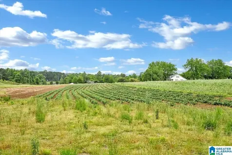900 County Road 1466 Cullman AL 35055