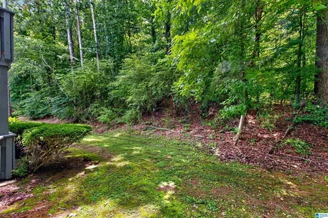 1106 Woodland Village Homewood AL 35216