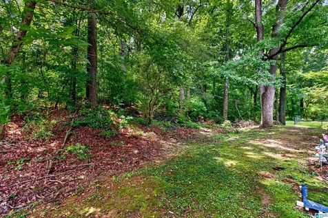 1106 Woodland Village Homewood AL 35216