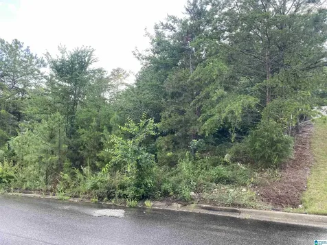 1059 Asbury Circle Helena AL 35022