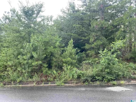 1059 Asbury Circle Helena AL 35022