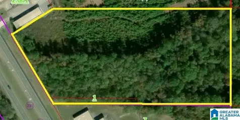 8 Acres Highway 280 Sylacauga AL 35150
