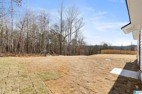 3085 East Middlebrooke Crossing Odenville AL 35120