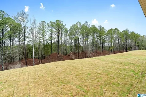 3055 East Middlebrooke Crossing Odenville AL 35120