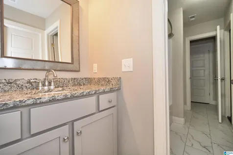 137 Willow Branch Lane Chelsea AL 35043