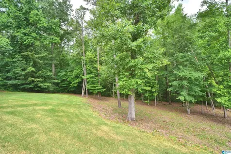 137 Willow Branch Lane Chelsea AL 35043