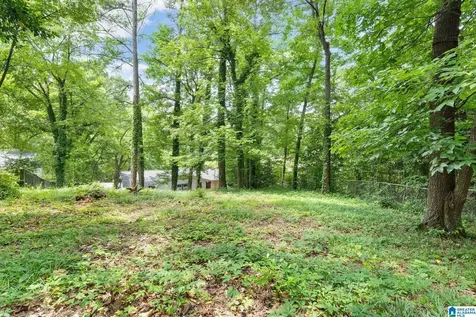 4704 Clairmont Avenue S Birmingham AL 35222