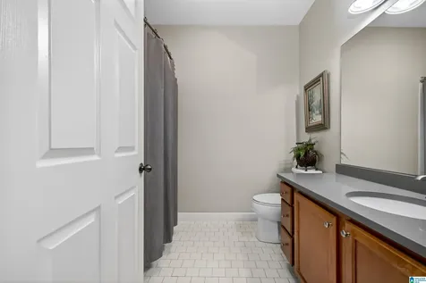 203 Sterling Oaks Drive Hoover AL 35244