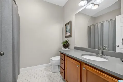 203 Sterling Oaks Drive Hoover AL 35244