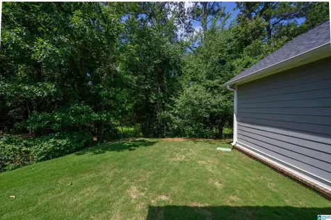 3889 James Hill Circle Hoover AL 35226