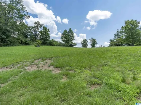 143 Concord Highland Drive Bessemer AL 35023