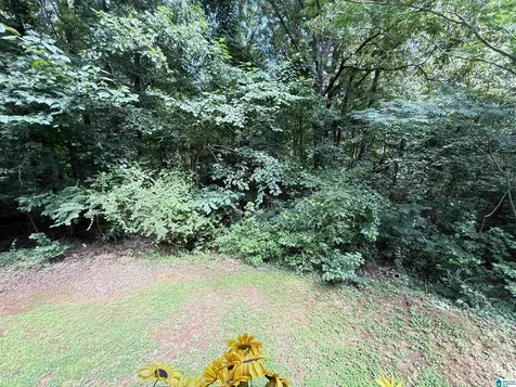 678 Inthawoods Circle Trussville AL 35173