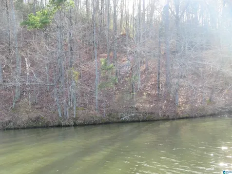 Lot 7 Eagle Mountain Road Rockford AL 35136