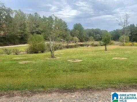 136 Lillie Bell Lane Chelsea AL 35043