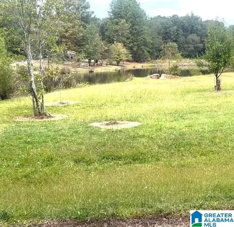 136 Lillie Bell Lane Chelsea AL 35043