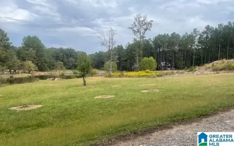 136 Lillie Bell Lane Chelsea AL 35043