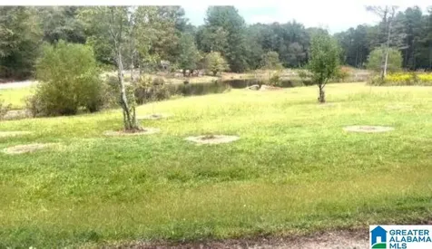 136 Lillie Bell Lane Chelsea AL 35043