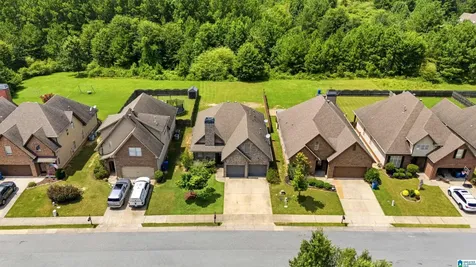 1043 Springfield Drive Chelsea AL 35043