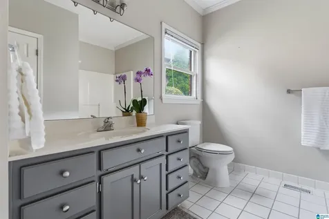 1008 Southlake Cove Hoover AL 35244
