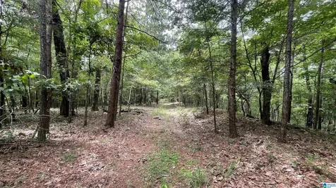 5020 Laurel Lakes Terrace Bessemer AL 35022