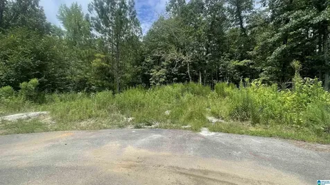 5020 Laurel Lakes Terrace Bessemer AL 35022