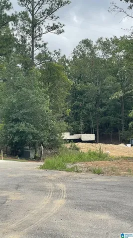 5020 Laurel Lakes Terrace Bessemer AL 35022