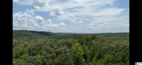 5020 Laurel Lakes Terrace Bessemer AL 35022
