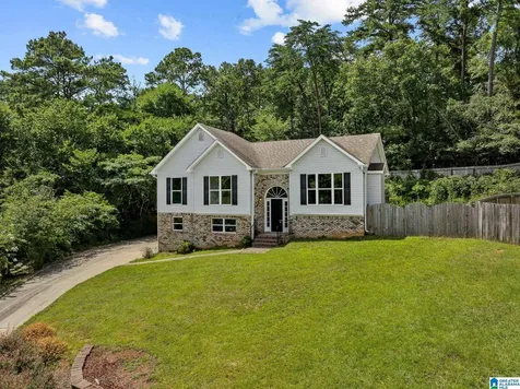 1163 Cameron Cove Circle Leeds AL 35094