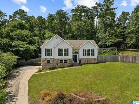 1163 Cameron Cove Circle Leeds AL 35094