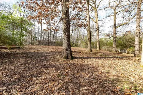 2240 1st Street NE Center Point AL 35215