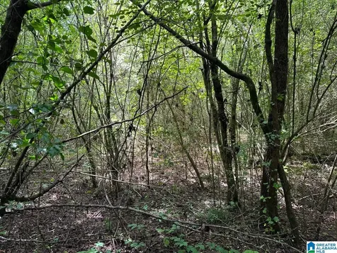 0.9 Acres Branch Cove Odenville AL 35120