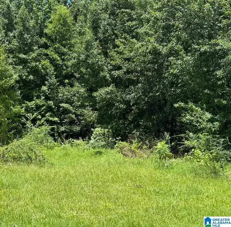 0.9 Acres Branch Cove Odenville AL 35120