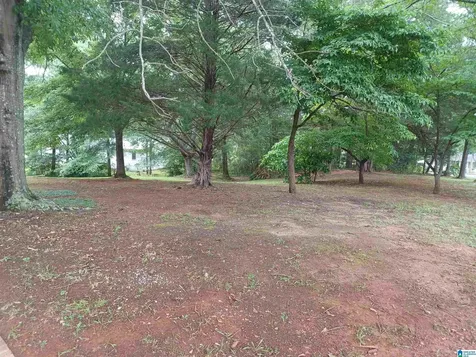 1012 Dogwood Circle Sylacauga AL 35150