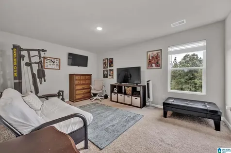 378 Andrew Lane Odenville AL 35120